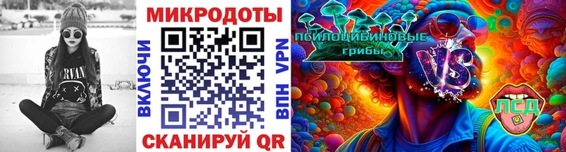 Псилоцибиновые грибы мицелий  Кисловодск 